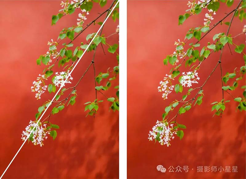 对角线构图法8.jpg