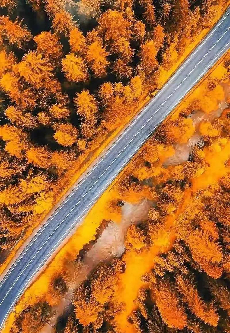 对角线构图法18.jpg